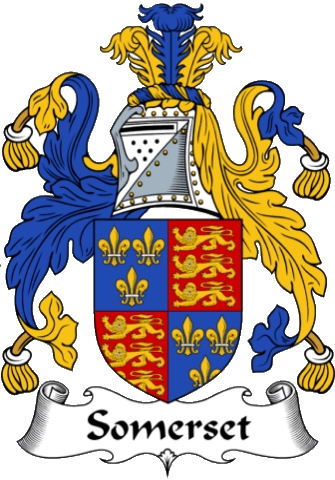 image25